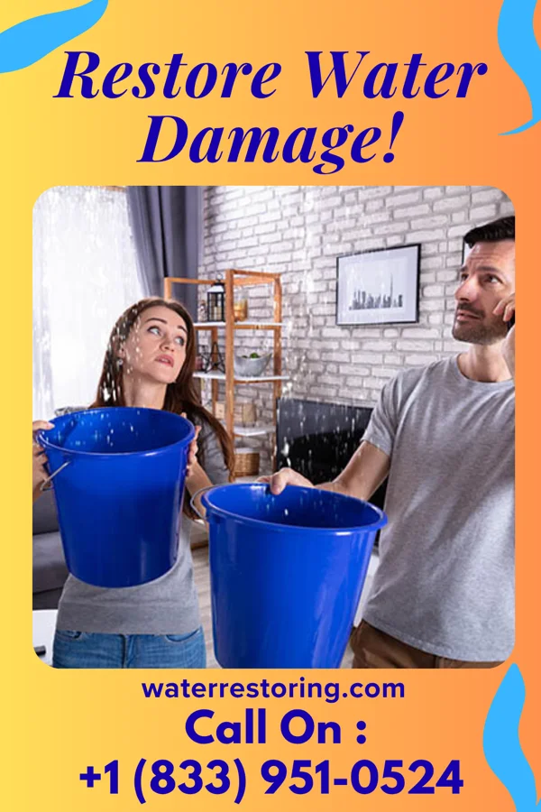 water restoration Royal Flood Cleanup Co Greenwich