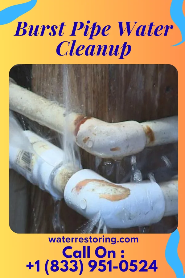 Burst Pipe Water Cleanup in Greenwich, OH