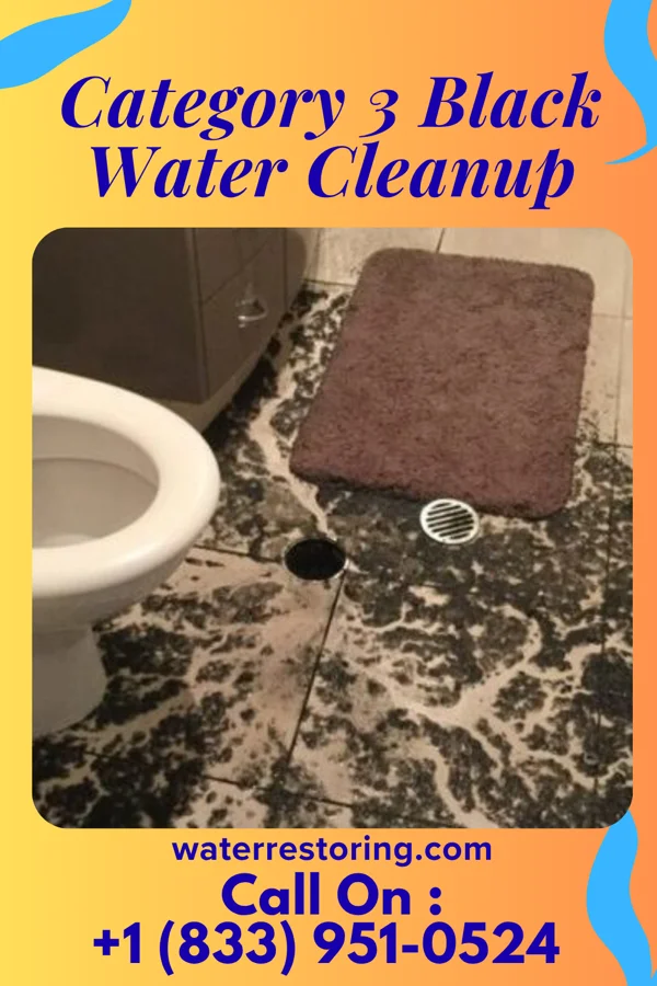 Category 3 Black Water Cleanup in Greenwich, OH