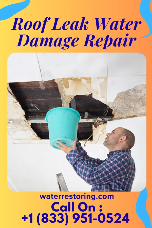 Roof Leak Water Damage Repair in Greenwich, OH