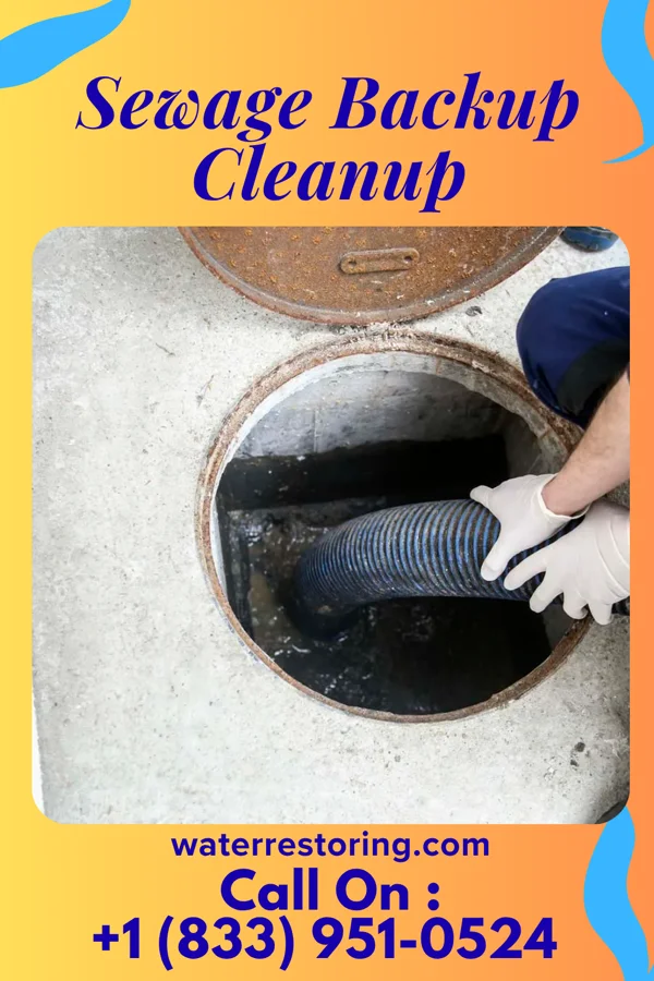 Sewage Backup Cleanup in Greenwich, OH