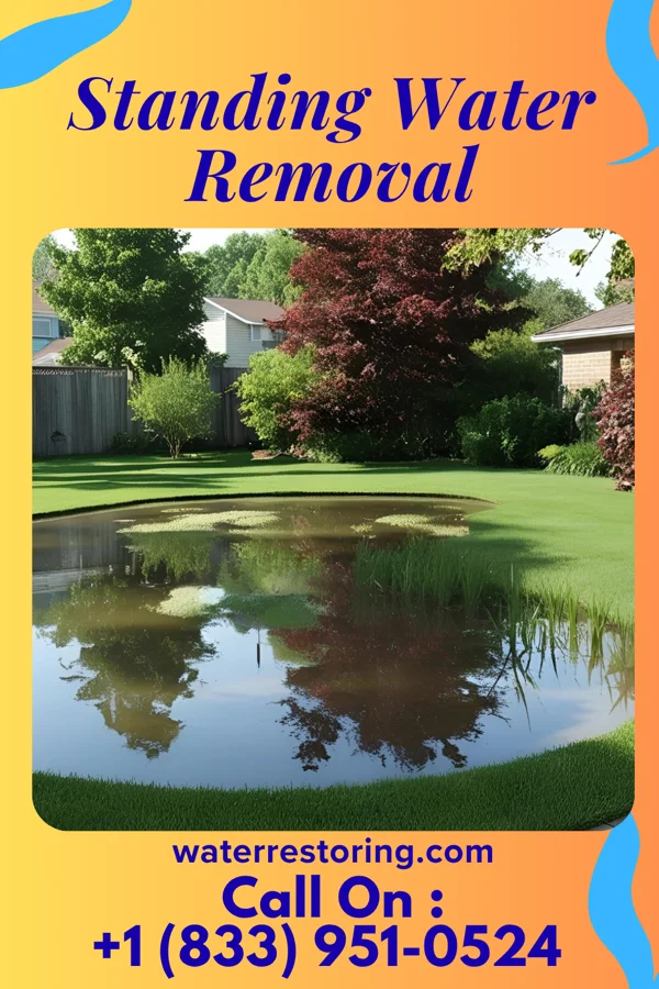 Standing Water Removal in Greenwich, OH